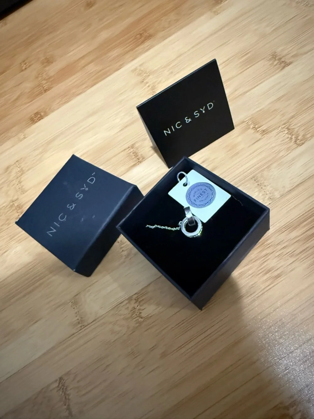 Nic and Syd Aritzia Necklace